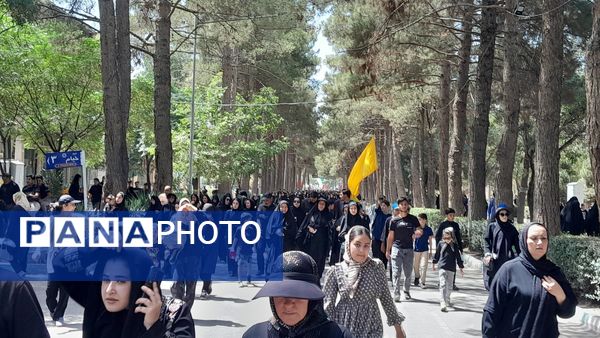 قاب هایی از جنس عاشقی 