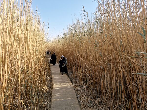 قدم بر خاک عشق