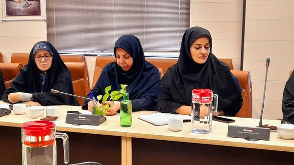 برگزاری دومین نشست کارگروه دختران نوجوان و جوان در استانداری البرز 