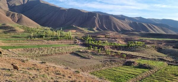 طبیعت بی نظیر روستا سربالا بهترین گزینه برای طبیعتگردی در فصل بهار