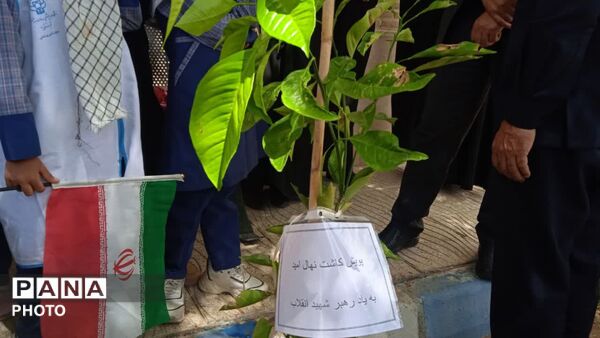 کاشت نهال امید در دبستان دخترانه شاهد پوررضایی ناحیه دو یزد