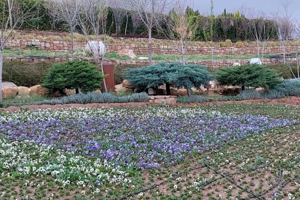 باغ گل ها در شهر گل ها شیراز