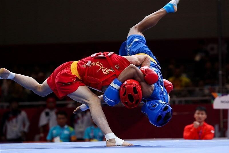 ووشو نباید خارج از سبد ورزش مدارس باشد