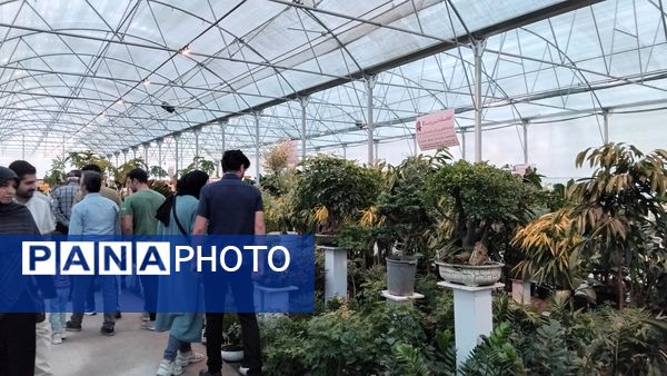 جشنواره گل‌و‌گیاه در محلات