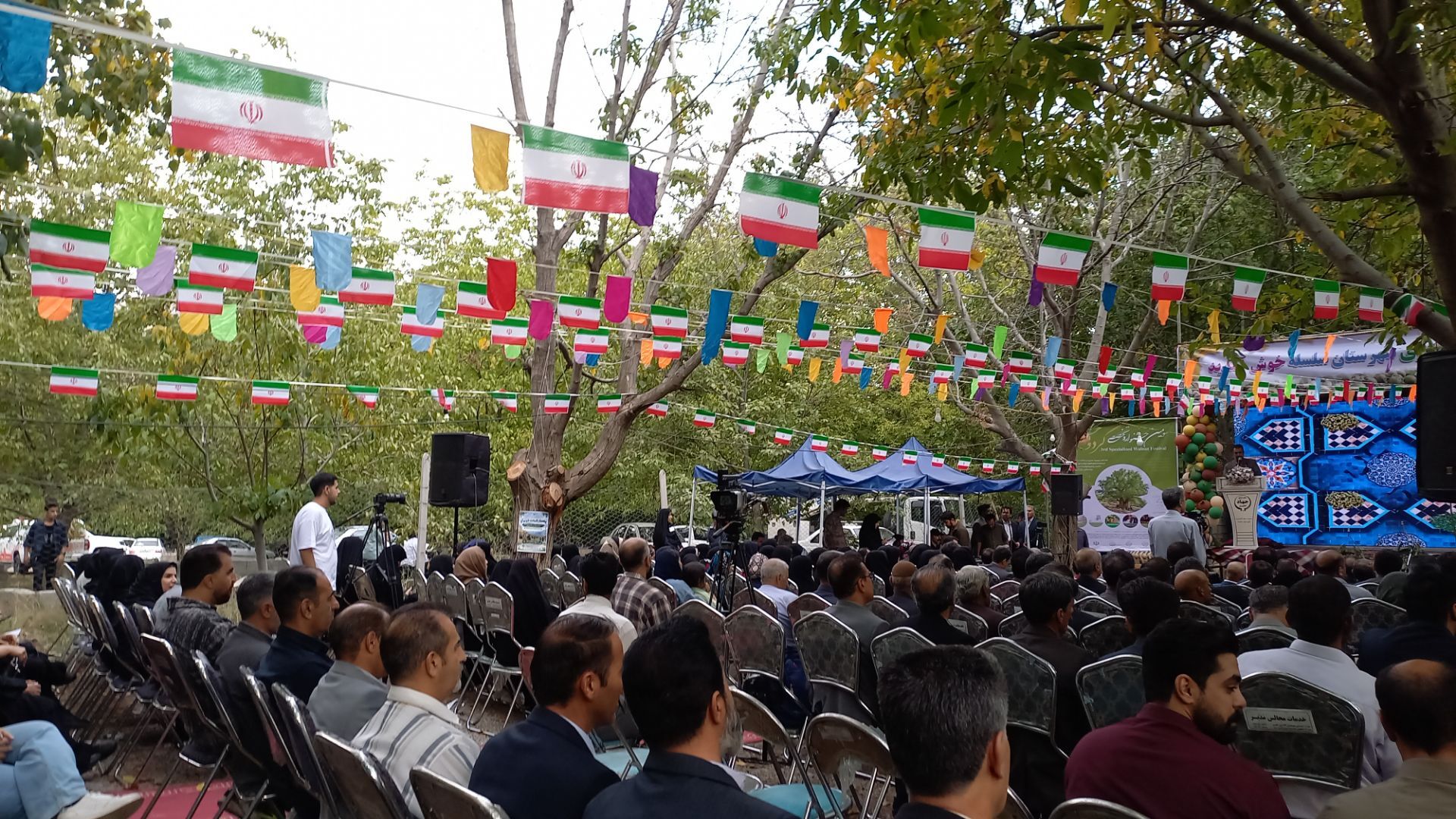 جشنواره‌ ای برای یک محصول؛ گردوی سلسله در مسیر فتح بازارها