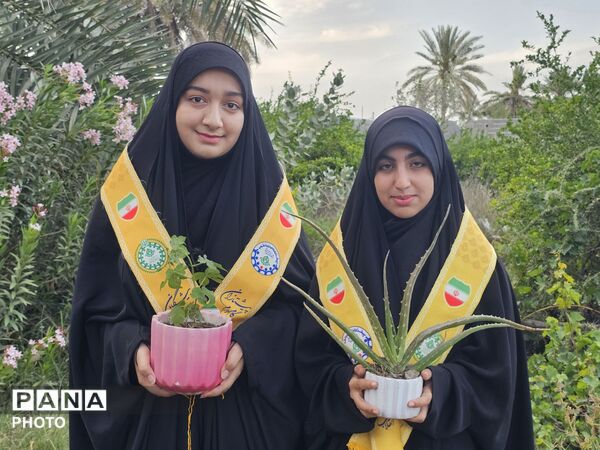 کاشت نهال به یاد دانش‌آموزان شهید مدرسه شجره طیبه میناب در سندرک