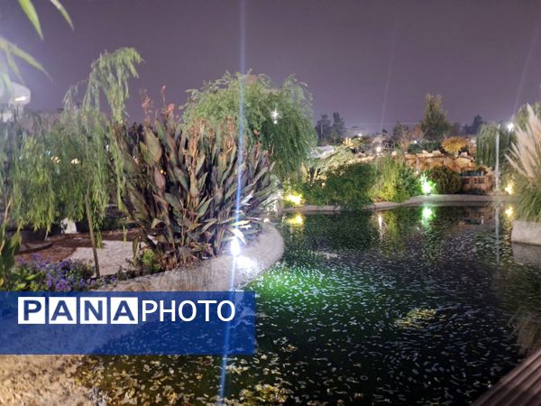 زیبایی باغ گل‌های مشهد در پاییز