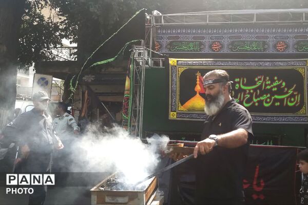 دلدادگان اربعین در تهران