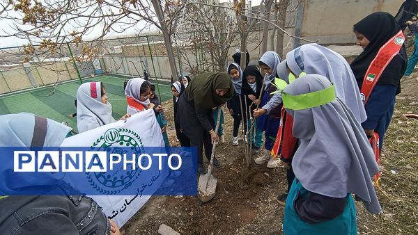 درختکاری در دبستان شهید ذکاوتی مایوان