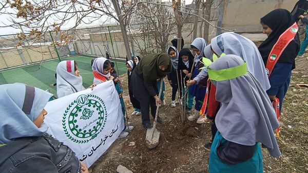 درختکاری در دبستان شهید ذکاوتی مایوان