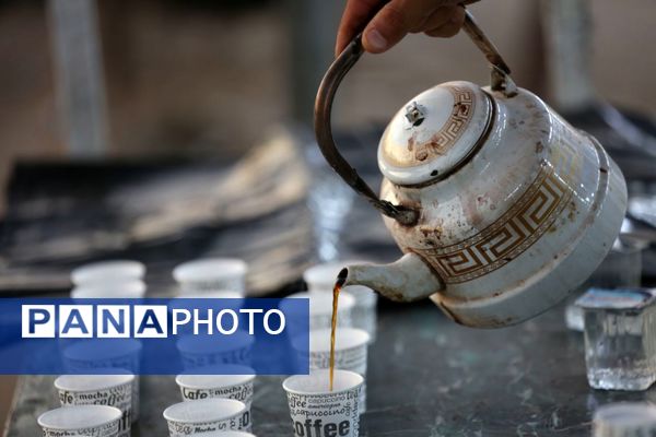 میلیون‌ها گام عاشقی؛ روایت حماسه اربعین حسینی از نجف تا کربلا