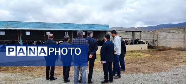 بازدید مدیر کل دفتر فنی و حرفه‌ای و کار دانش وزارت آموزش و پرورش از شهرستان سملقان