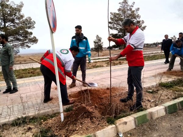 روز درختکاری در تربت جام