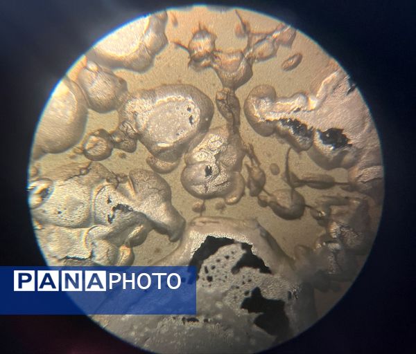 بازدید دانش‌آموزان حضرت معصومه(س) شاهد از پژوهش‌سرای رازی