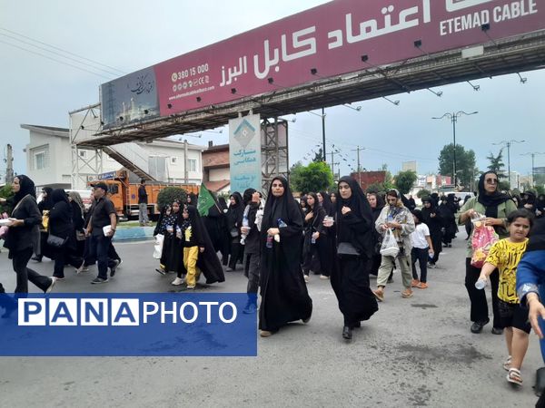 پیاده‌روی جاماندگان اربعین حسینی در نور 