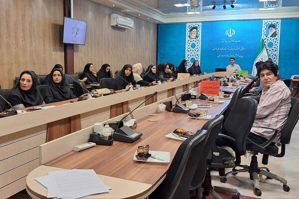 برگزاری کارگاه آموزشی و توانمندسازی مشاوران در بهارستان‌دو