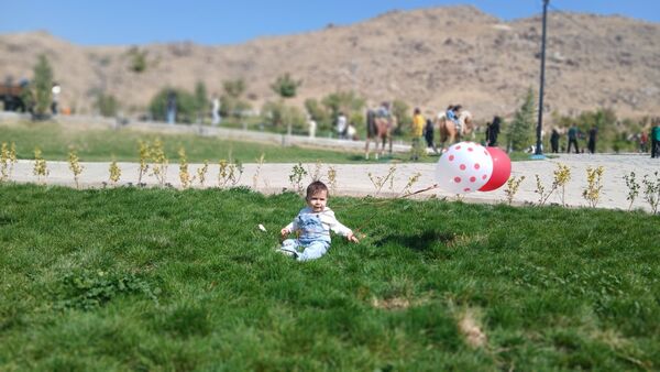 پرواز بادبادک‌ها