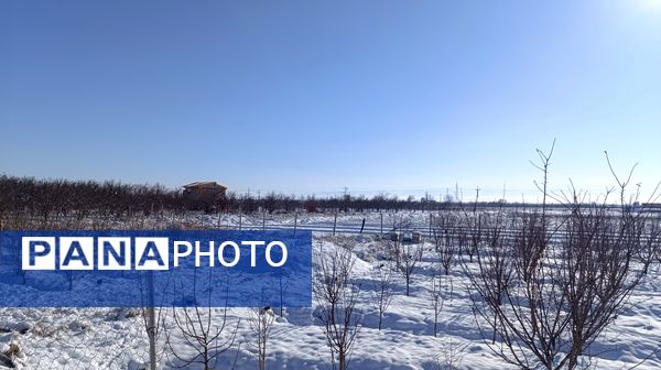 منظره زیبای برف پاییزی در باغات شهرستان نیشابور 