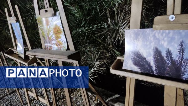 پاییز حاجی آباد با رنگ مهرگان به اوج رسید