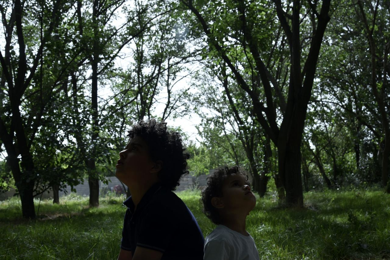 «در آغوش درخت» تازه‌ترین فیلم پرفروش اجتماعی سینماهای ایران 