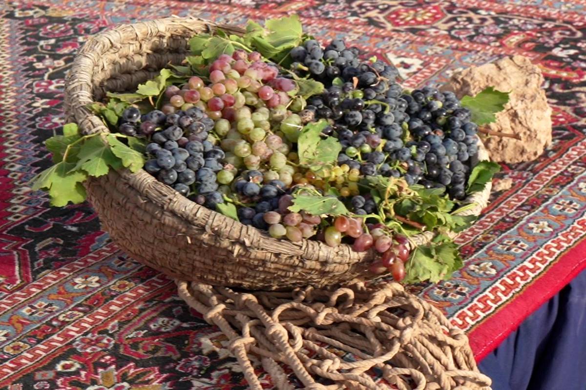 جشنواره انگور در بقعه پیر؛ روایت شیرین از توانمندی‌های بومی و آیین‌های کهن