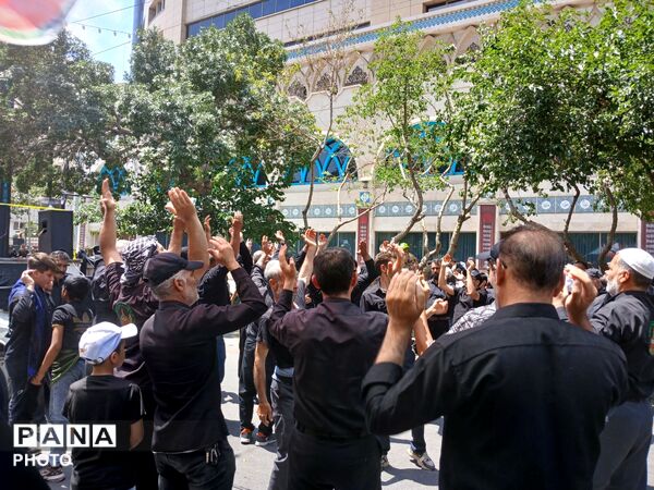 عاشورا؛ روایت دلدادگی در قاب اشک و ارادت 
