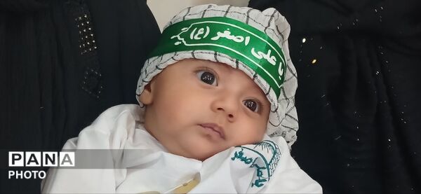 برگزاری همایش باشکوه شیرخوارگان حسینی با حضور خانواده‌ها و نوزادان