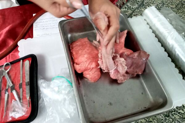  مراسم نواخته شدن زنگ پژوهش در فرزانگان قدس