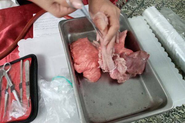  مراسم نواخته شدن زنگ پژوهش در فرزانگان قدس