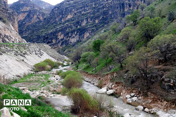 طبیعت روستای بیدله به هنگام بهار