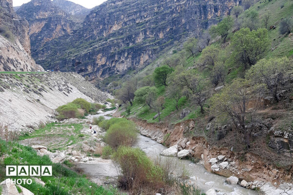 طبیعت روستای بیدله به هنگام بهار