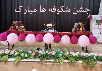 شروع یک سفر بزرگ
