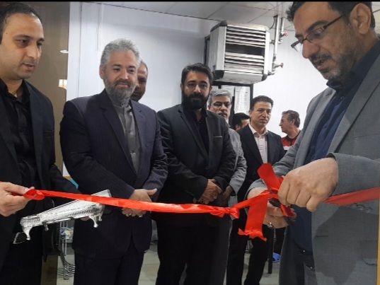 مهارت‌آموزی رشته شنا از برنامه‌های مهم معاونت تربیت‌بدنی و سلامت است