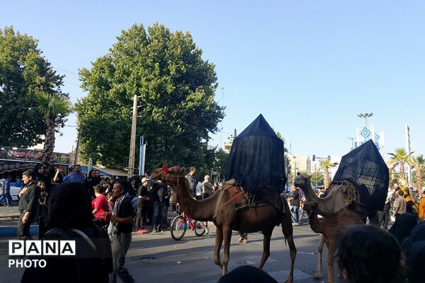 استقبال پرشور مردم شهرک امیریه از کاروان نمادین اسرای کربلا