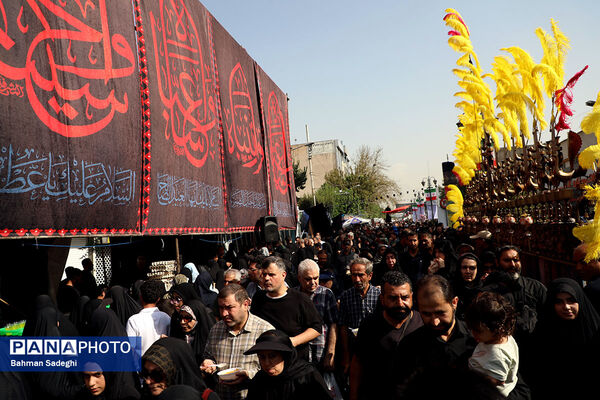 جاماندگان اربعین حسینی - تهران