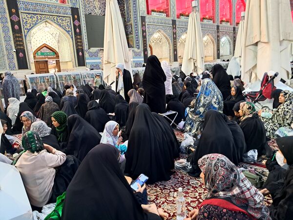 کبوتر حرم مشهد مقدس