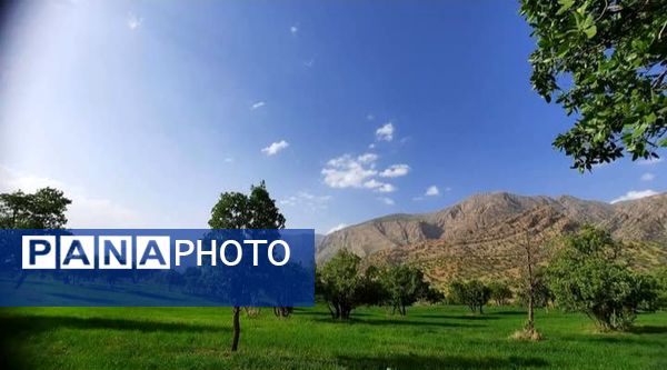 طبیعت سر سبز رفن به هنگام بهار