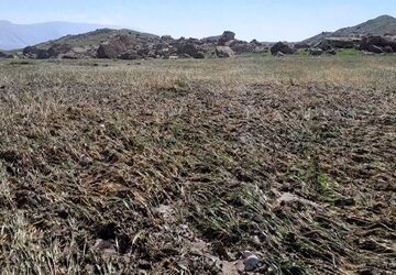 سیل باعث خسارت به مزارع بخش ماژین دره شهر شد 