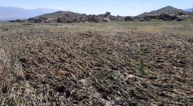 سیل باعث خسارت به مزارع بخش ماژین دره شهر شد 