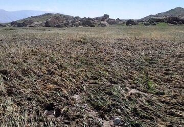 سیل باعث خسارت به مزارع بخش ماژین دره شهر شد 