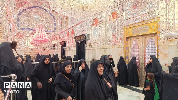 نجف، مقصد دل‌های عاشق؛ زائران در جستجوی آرامش امام علی (ع)