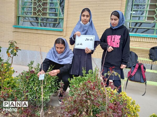 درختی برای زندگی؛ یادواره‌ای برای شهدا