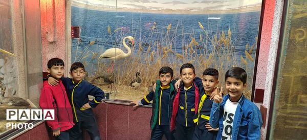 سفر علمی دانش‌آموزان سرخسی به قلب محیط‌زیست