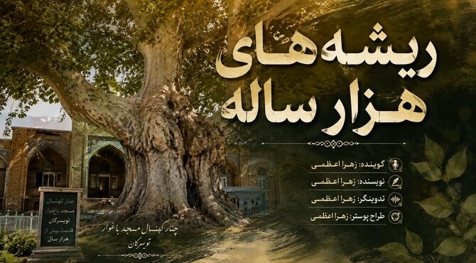 چنار کهنسال مسجد باغوار؛ میراثی زنده از تاریخ تویسرکان