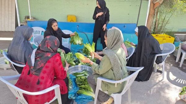 برگزاری جشنوارهٔ کاهو و سکنجبین در دبستان پسرانهٔ پاسداران یزد