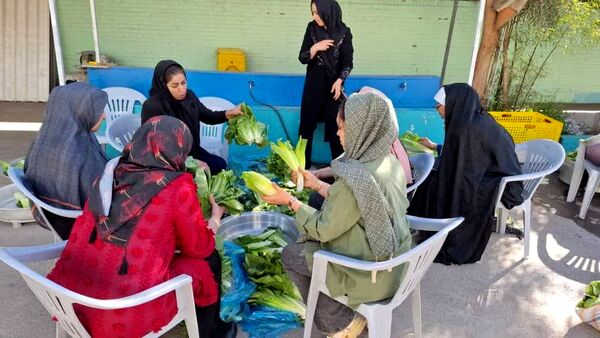 برگزاری جشنوارهٔ کاهو و سکنجبین در دبستان پسرانهٔ پاسداران یزد