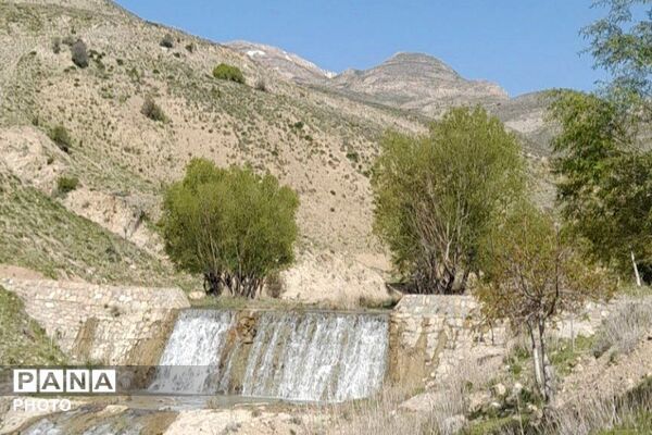 کوه های شهر بار ذخیره‌گاه گیاهان ارزشمند و کم نظیر دارویی 