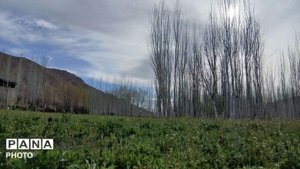  نجوای بهار در روستای سرتشنیز