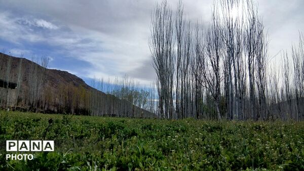  نجوای بهار در روستای سرتشنیز