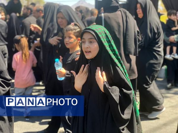 اربعین حسینی در شهرستان کاشمر 